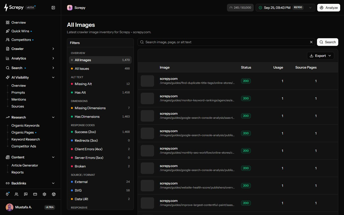Screpy Images report with grouped image sources, issue presets, response status, dimensions, and source pages