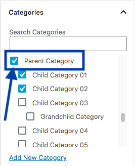 SEO-Friendly URL Structures - Parent and Child Categories